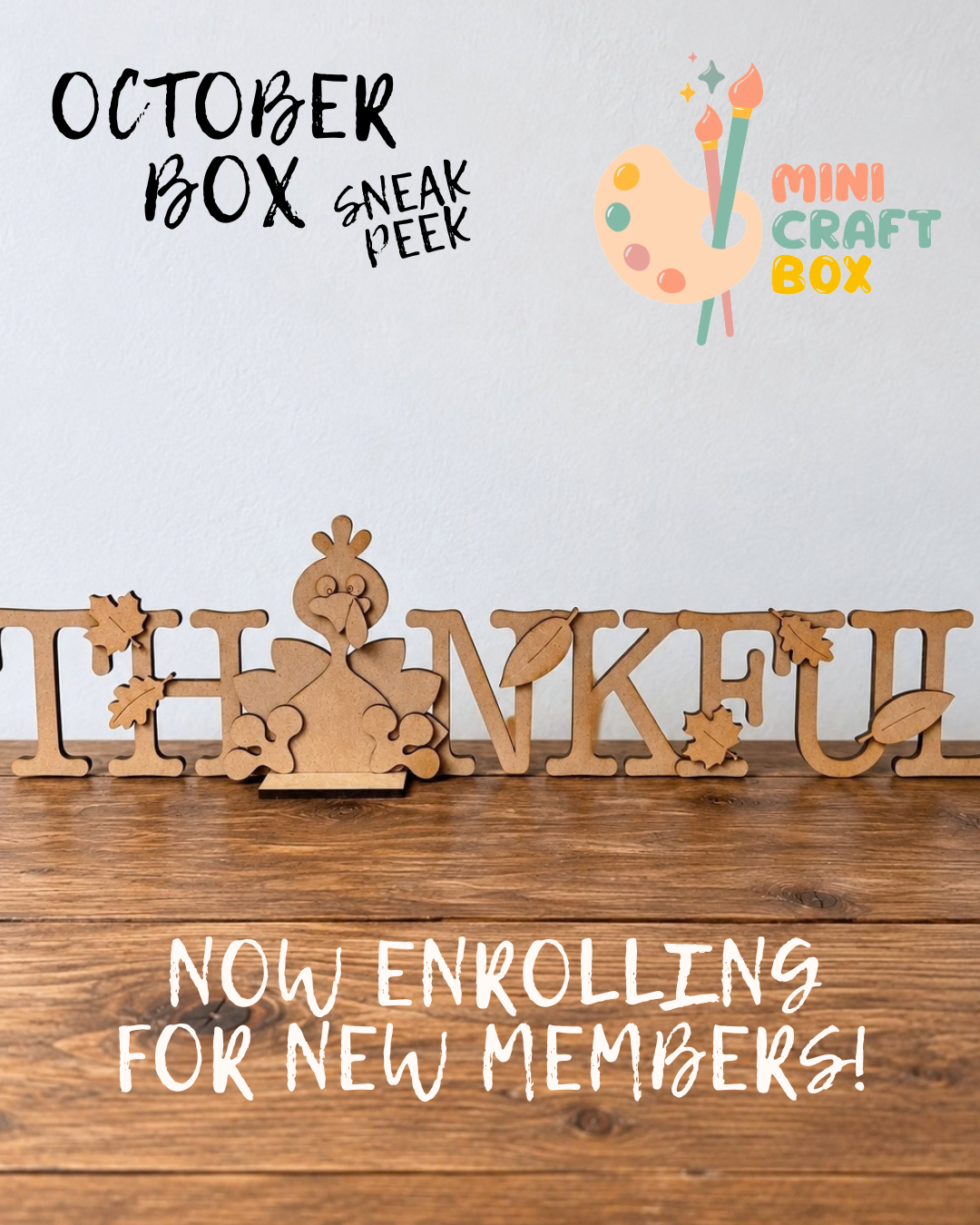 Mini Craft Box